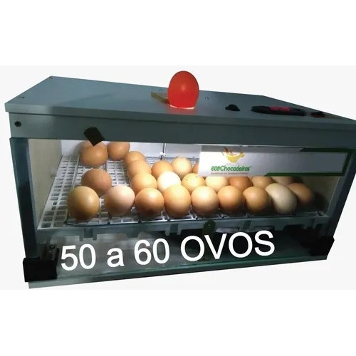  Para Chocadeiras 50 Ovos