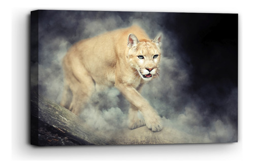 Cuadro Canvas Puma Entre Nubes  140x90 Cm