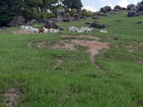 Imagem 8 de 15 de Sitio - Fazenda Rio Das Garcas - Ref: 34379 - V-34376