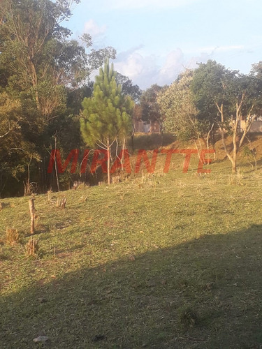Imagem 14 de 18 de Terreno Em São Vicente - Mairiporã, Sp - 371687