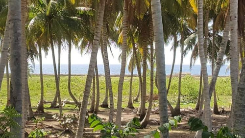 Terreno Cerca De Playa Nigua 