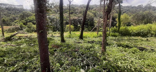 Terrenos Disponíveis De 1000m² Em Mairinque!