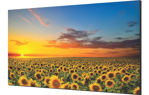 Cuadro Decorativos Girasol, Paisaje De 140x80cm Envío Gratis