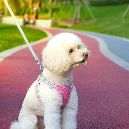 Arnés Para Perros Con Juego De Correa Chaleco De Rosa M