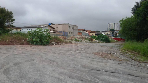 Terreno Para Alugar, 7300 M² Por R$ 70.000,00/mês - Vila Sacadura Cabral - Santo André/sp - Te1009