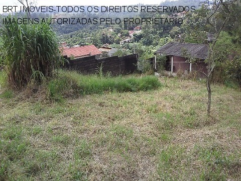 Imagem 10 de 17 de Terreno - Te00049 - 3058071