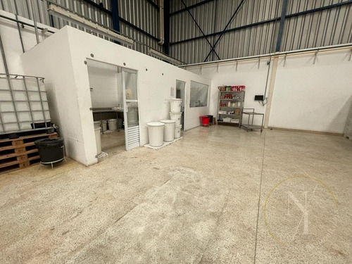 Imagem 8 de 15 de Excelente Galpão - 1400m² - Ramo Alimentício - Vila Lucia - São Paulo - 6726