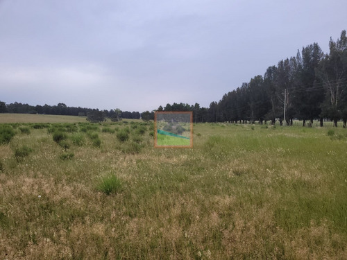 Imagen 10 de 19 de Chacra 5 Hás Zona Ruta 104 Manantiales