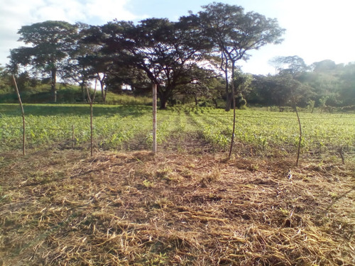 Se Vende Granja En El Estado Carabobo Ve02-1321carab-mtru