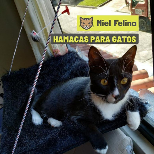 Hamacas De Ventana Para Gatos. Tela De Peluche - Miel Felina