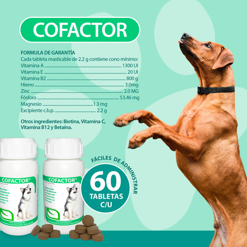 2 Pack Cofactor Ruiland Vitaminas Para Perros 120 Tabletas