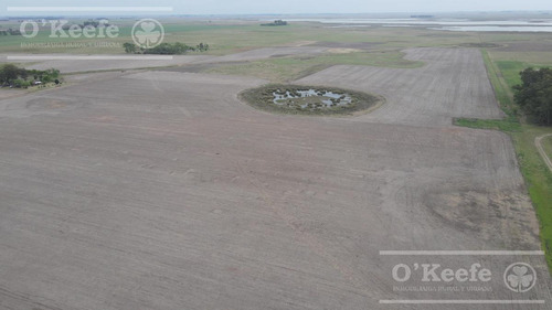 Imagen 5 de 13 de Campo En Venta De 90 Has En Saladillo Mixto