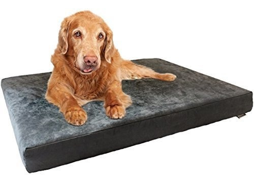 Dogbed4less Perro Cama Ortopédica Con Espuma De Memoria Para