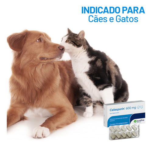 Celesporin Antibiótico 600mg Cartela Com 10 Comprimidos Cães
