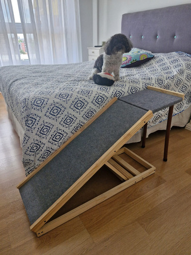 Rampa Con Descanso Para Perros Y Otras Mascotas (Usado)