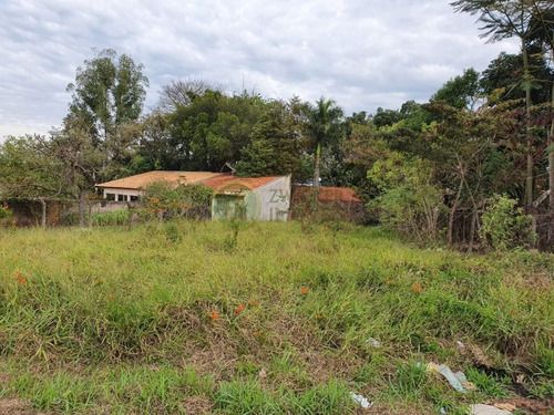 Imagem 3 de 4 de Venda: Excelente Terreno Em Localização Privilegiada No Vale Do Igapó - Te00263