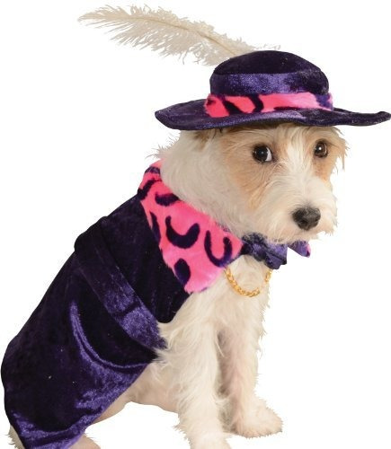 Traje De Mascota De Rubies Mac Daddy