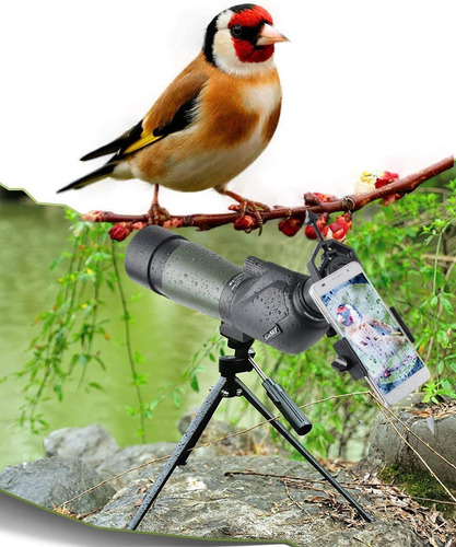 Imagen 6 de 6 de Telescopio Con Trípode De Mesa Para Observar Aves Gosky