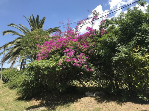 Imagen 2 de 30 de Casa En Venta, Primera Linea, El Tesoro La Barra - La Barra El Tesoro