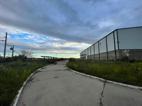 Imagen 10 de 30 de Fracción Industrial 26 Ha. Galpón 12.800 M² Cub. - Carlos Spegazzini