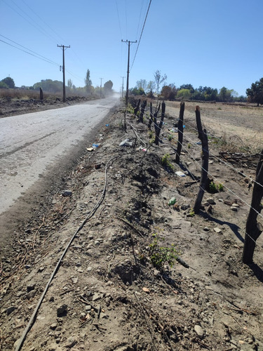 Imagen 3 de 11 de Terreno Chillán 14 Hectáreas Sector Río Viejo