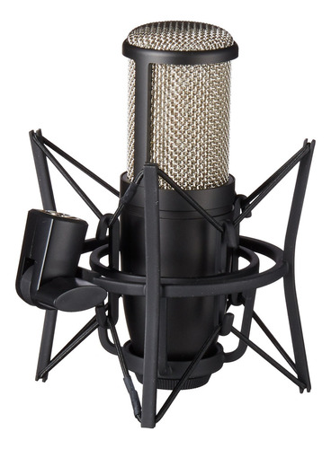 Akg Perception 220 Micrófono De Estudio Profesional