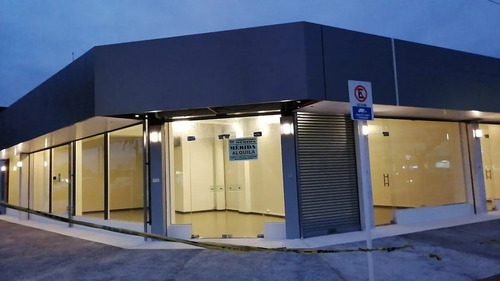Imagen 4 de 14 de Local Comercial Céntrico Muy Amplio
