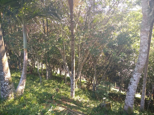 Imagem 19 de 30 de Sítio À Venda Em Juquitiba - 423 - 33815443