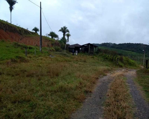 Imagem 22 de 30 de Fazenda - 0132 - 32820420
