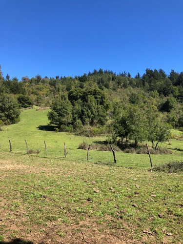 Oportunidad De Inversión Sector El Risco, Pelluhue, El Maule
