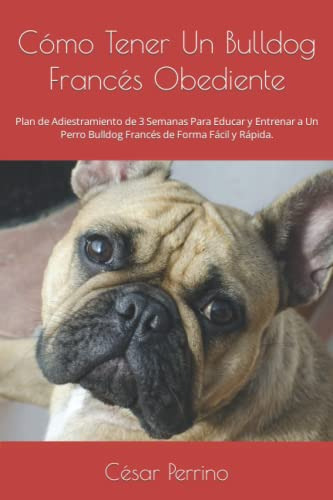 Como Tener Un Bulldog Frances Obediente: Plan De Adiestramie