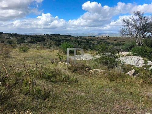 Imagen 11 de 12 de Campo En Venta Las Cañas 77 Hectáreas
