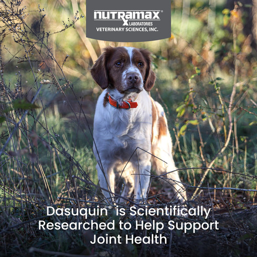 Masticables Suaves Para Perros Con Msm, Nutramax Dasuquin