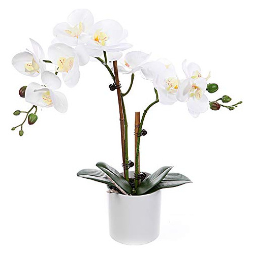 Orquídeas Phalaenopsis De Seda Artificial Jarrón Blan...