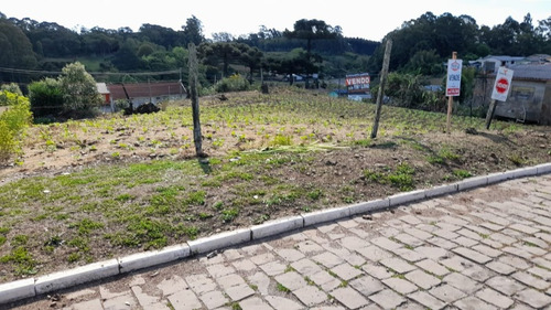 Imagem 2 de 4 de Terreno - Belvedere - Ref: 8868 - V-8868