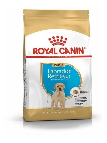 Royal Canin Labrador Retriever Junior (perro) X 12kg Caba