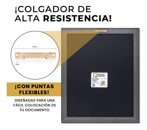 Marco Para Titulo Unam 40x50 Azul/ Filo Oro Negro/ Filo Oro