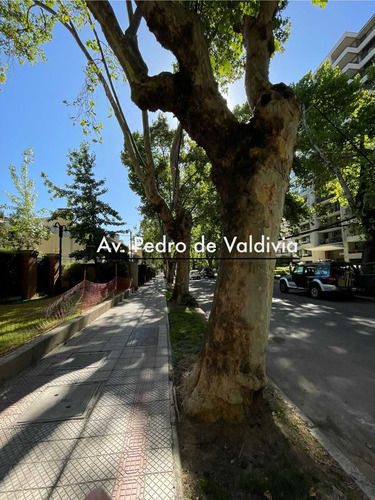 Oferta, Depto Entre P. De Valdivia Lyon (29800)