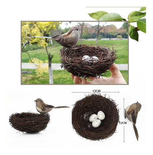 Naturaleza Nido De Pájaro Artificial Con Huevos Jaula Gris