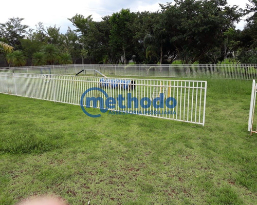 Terreno - Te00033 - 68211407