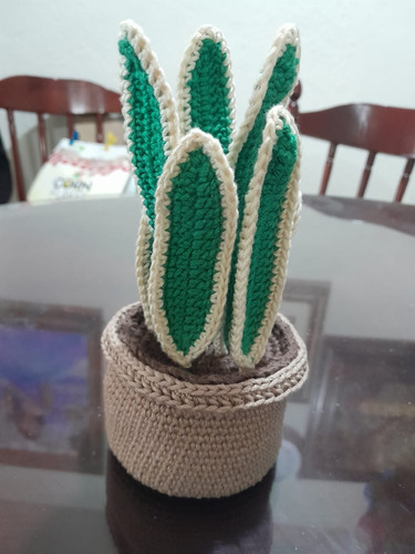 Maceta Tejida A Crochet Sanseveria Lengua Suegra Eterna