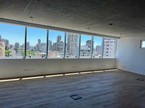 Alquiler Oficina 75m2 Piso Alto - C 2 Divisiones De Blindex Open Space.