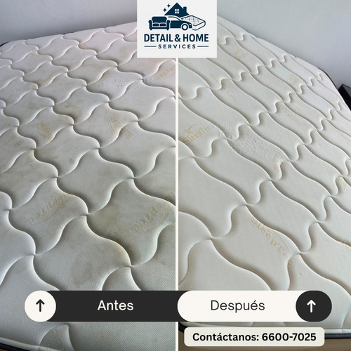 Limpieza De Sofá Y Colchones