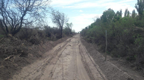 Imagen 12 de 20 de Campo En Venta 400 Ha - Colonia Elena- San Rafael - Mendoza