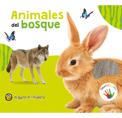 Libro Animales Del Bosque