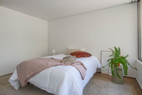 Imagen 8 de 29 de Espectacular Para Remodelar En Avd. Pocuro