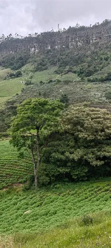 Finca Agricola Y Descanso