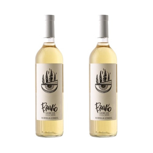 Vino Blanco Sauvignon Blanc Bravio 750ml Pack X2u