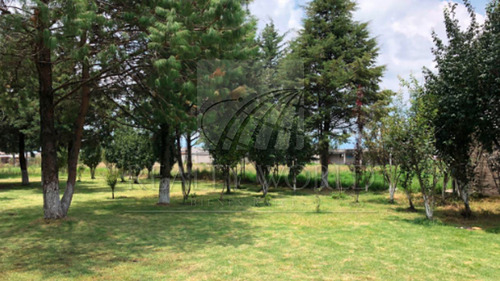 Terrenos En Venta En San Pedro Totoltepec