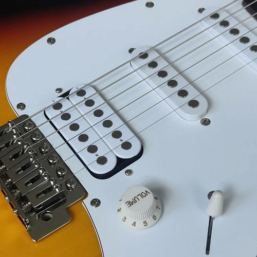 Guitarra Eléctrica 3014750 Color Sunburst Raptor Custom Sunb